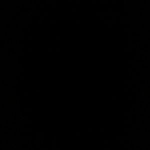 Meet your Posher, Luisa